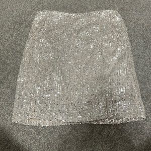silver sparkly skirt